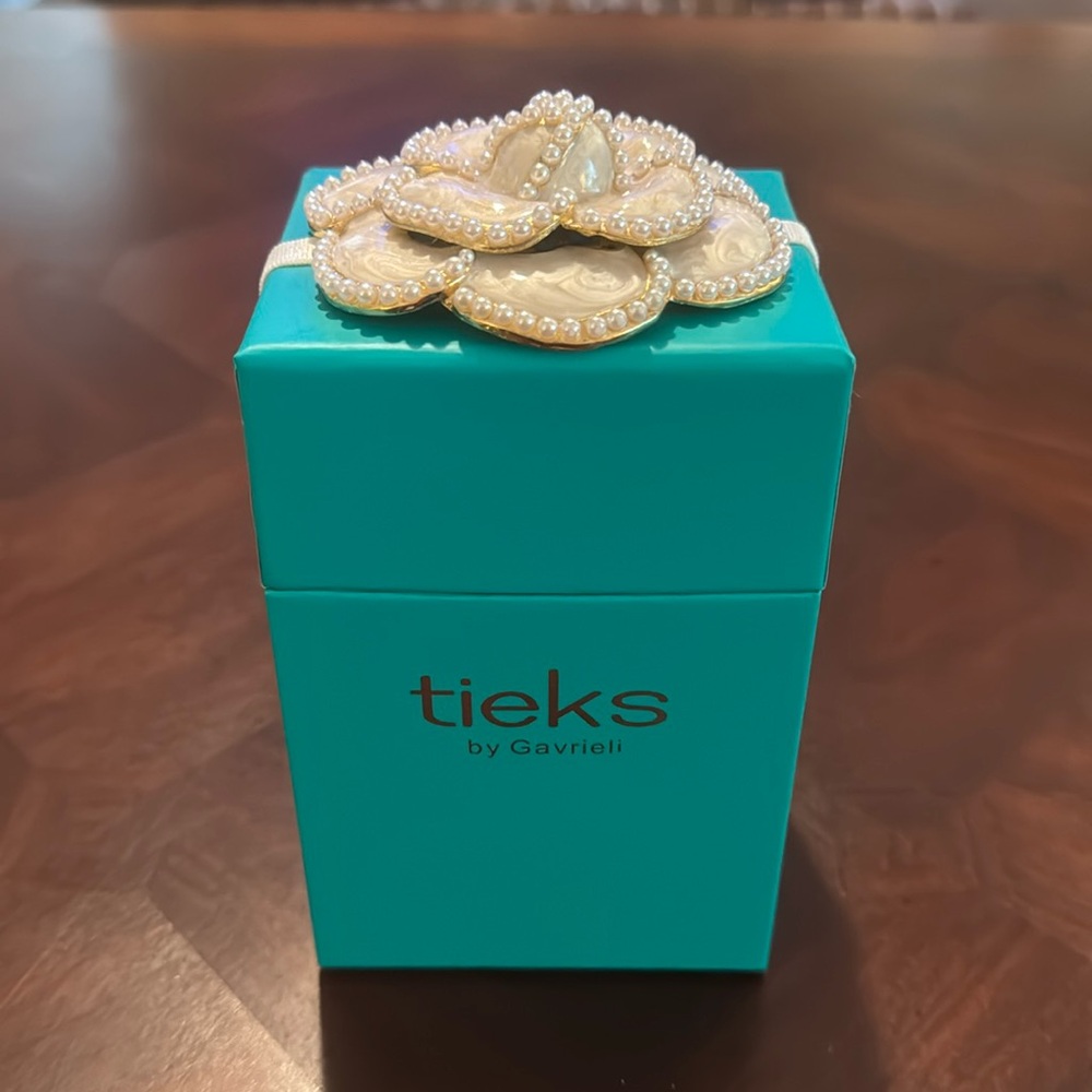 Tieks Shoe Box with Limited Edition Topper